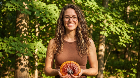 Huvitav reishi (Ganoderma lucidum)