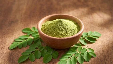 Õlileht-moringa (Moringa oleifera)